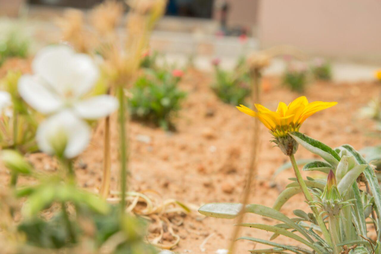 מאסרו Horizon View Guest House מראה חיצוני תמונה